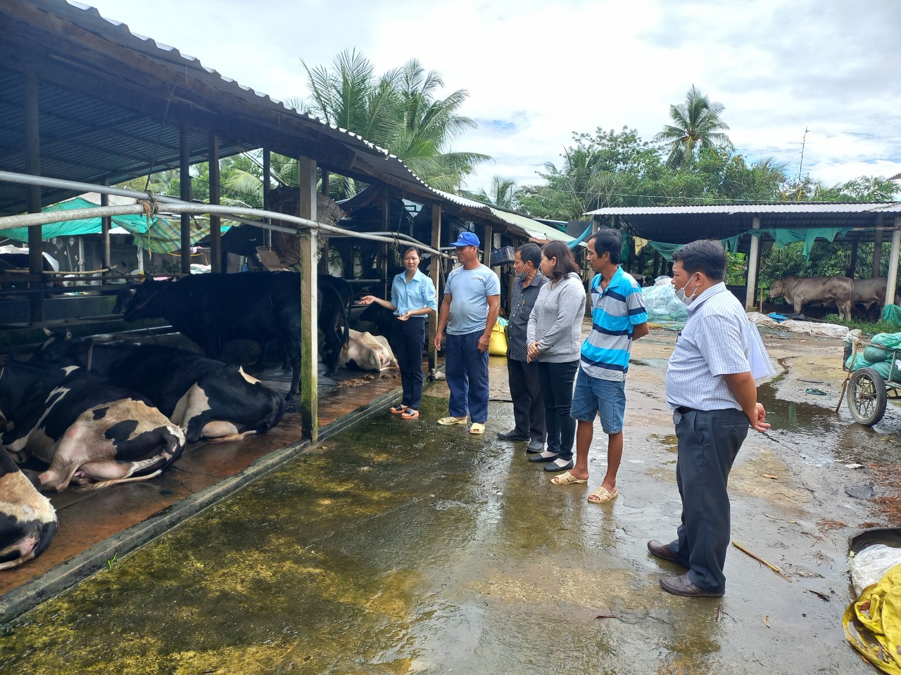 Kiểm tra hoạt động Quỹ Hỗ trợ nông dân và vay vốn uỷ thác Ngân hàng Chính sách xã hội tại phường Trà An