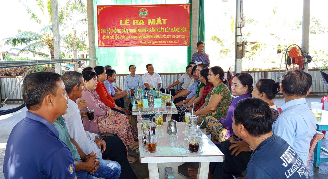 Chi Hội Nông dân nghề nghiệp sản xuất lúa hàng hóa